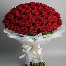 Букет 101 Красная роза Блэк Мэджик в Поздняково
