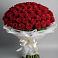 Букет 101 Красная роза Блэк Мэджик в Поздняково