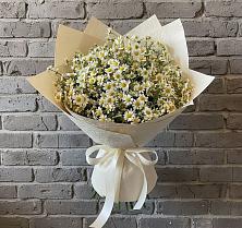 Букет цветов из:  Ромашки в Поздняково