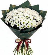 Букет цветов из:  Хризантемы #REPLACE_PRED# Поздняково