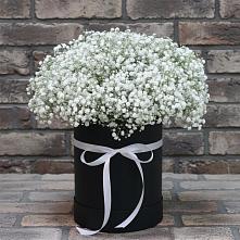 Цветочная композиция из Гипсофила в шляпной коробке #REPLACE_PRED# Поздняково