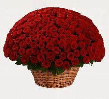 Премиум букет из: Розы #REPLACE_PRED# Поздняково